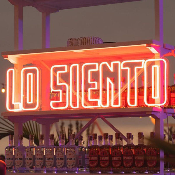 Lo Siento LED Neon Sign